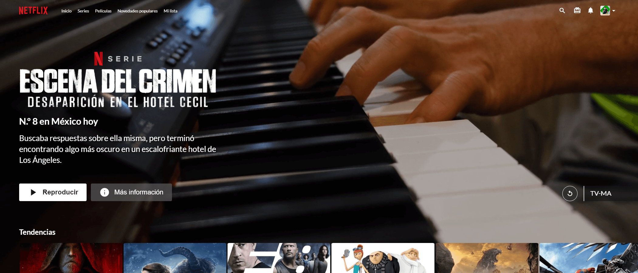 Imagen de la página de Home de mi proyecto "Netflix Layout".