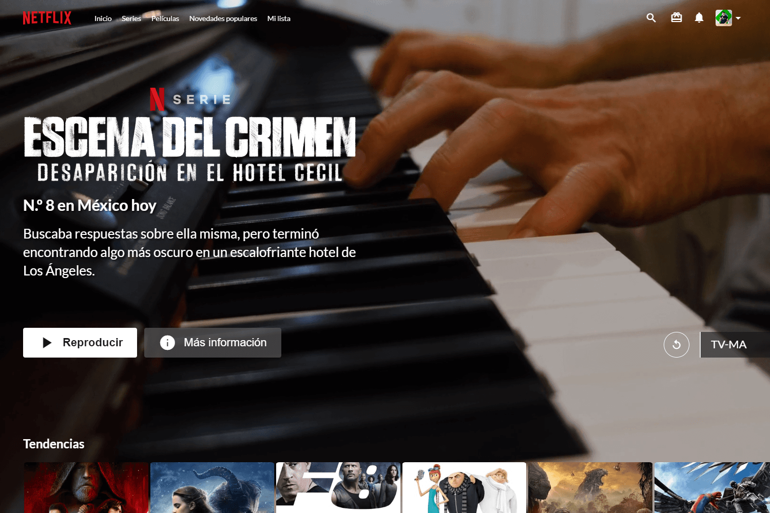 Imagen de la página de Home de mi proyecto "Netflix Layout".