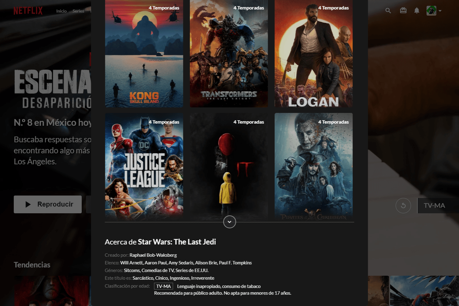 Imagen del la parte inferior del modal con los detalles de una serie de mi proyecto "Netflix Layout".